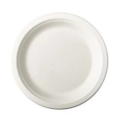 PAPSTAR 500 Teller, Zuckerrohr "pure" Ungeteilt Ø 18 Cm · 2 Cm Weiss