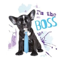20 Servietten, 3-lagig 1/4-Falz 33 Cm X 33 Cm "I'm The Boss"
