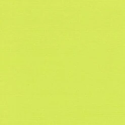 PAPSTAR 50 Servietten "ROYAL Collection" 1/4-Falz 40 Cm X 40 Cm Limonengrün 13 PAPSTAR 50 Servietten "ROYAL Collection" 1/4-Falz 40 Cm X 40 Cm Limonengrün -Papstar 2a1e6ef9 3892 4622 bb59 9a8b5e8a925b